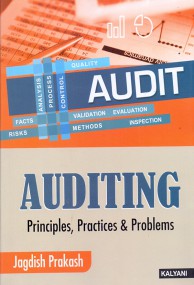Auditing Principles, Practice and Problems